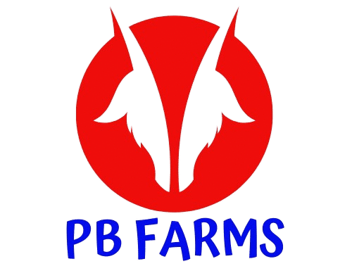 Pahadi Bakri